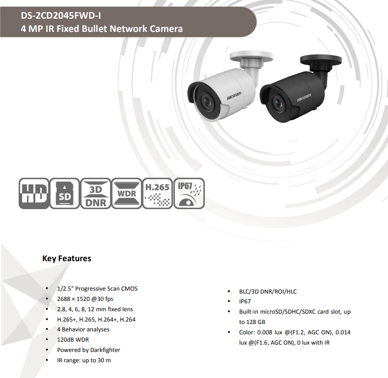 دوربین مداربسته هایک ویژن مدل DS-2CD2045FWD-I